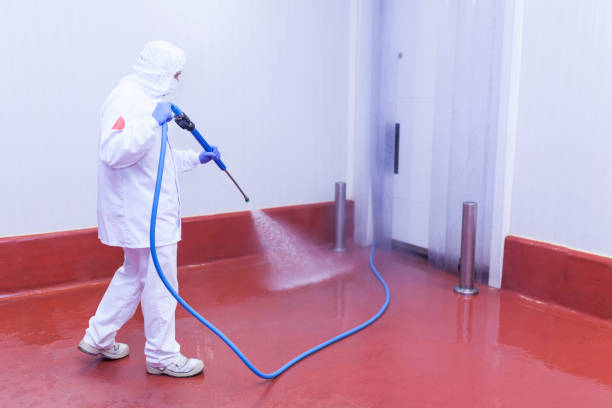 Professional Pressure Washing Services in Hackleburg, AL